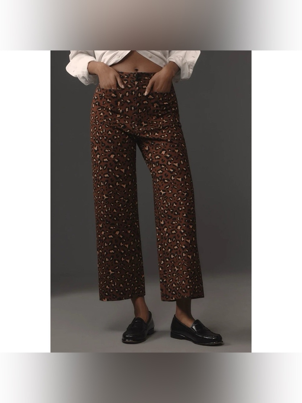 Anthropologie Maeve Colette Leopard Cheetah Ponte Pant Brown 25